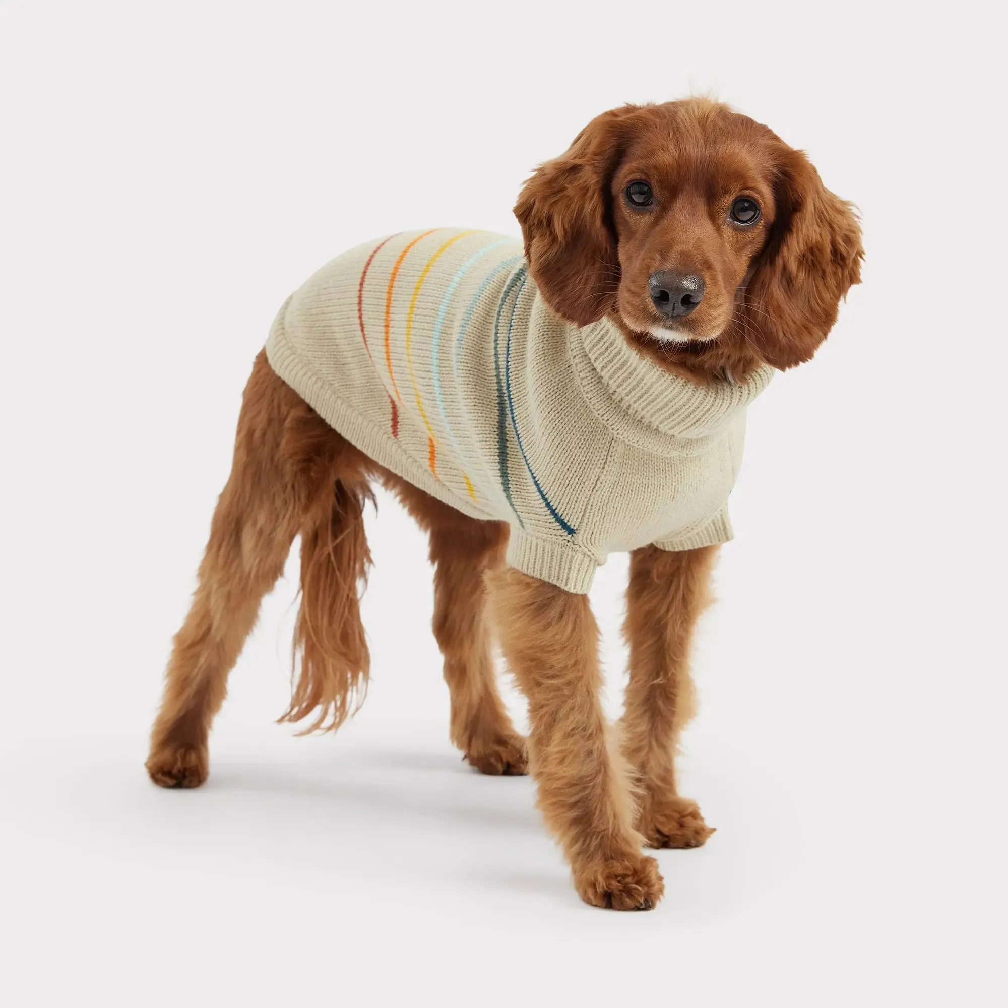 Arctic Dog Sweater | Sand