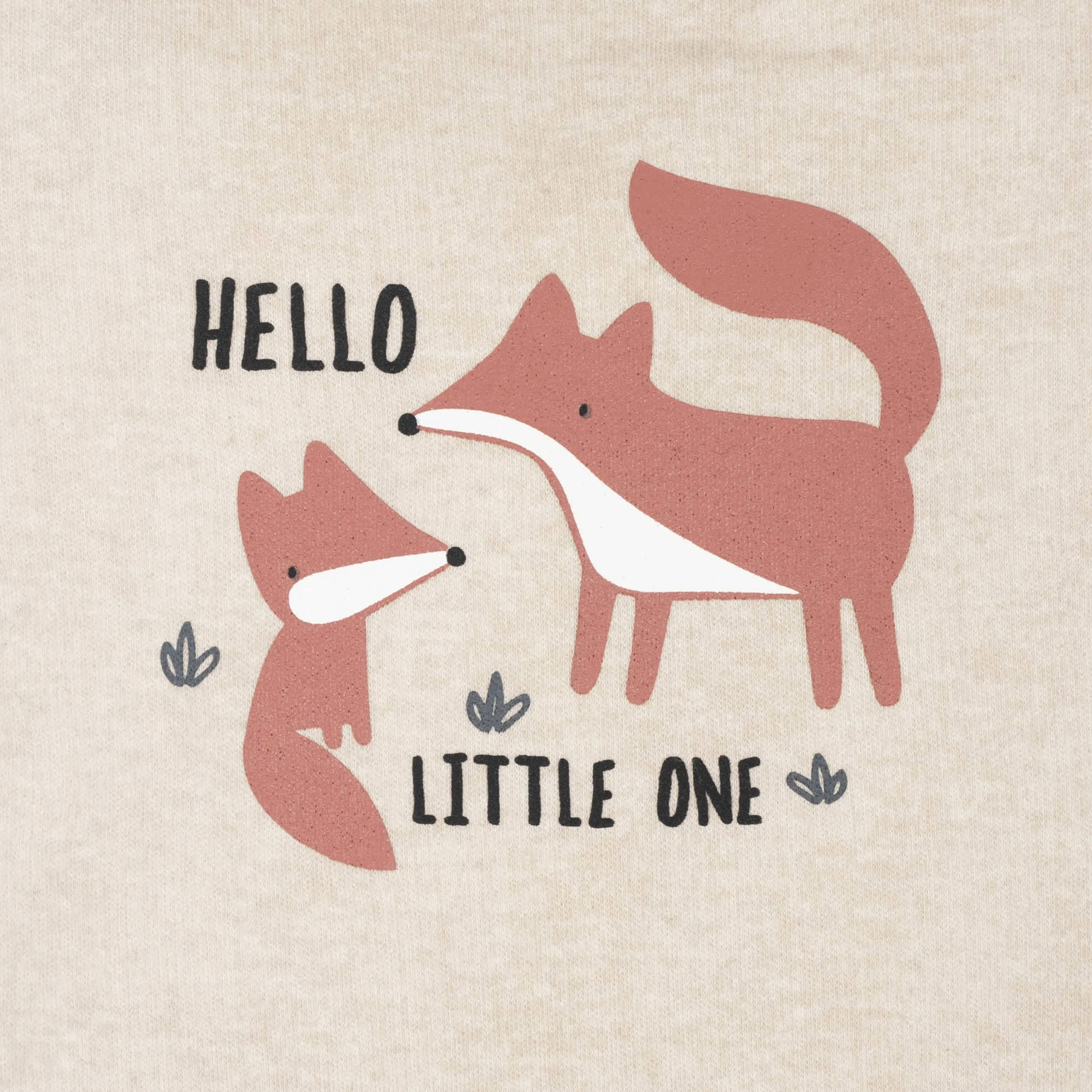 Baby Boys Organic 4-Piece Fox Bundled Gift Set