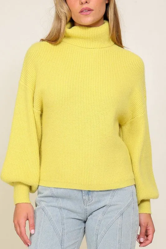 Bishop Sleeve Turtleneck Sweater