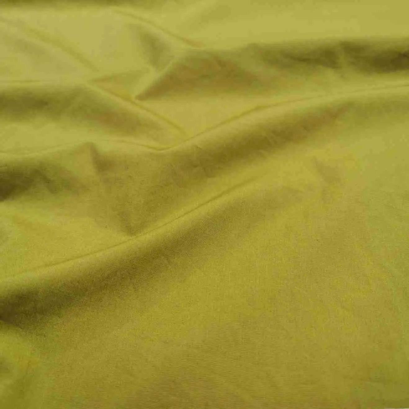 Compact Cotton, Avocado