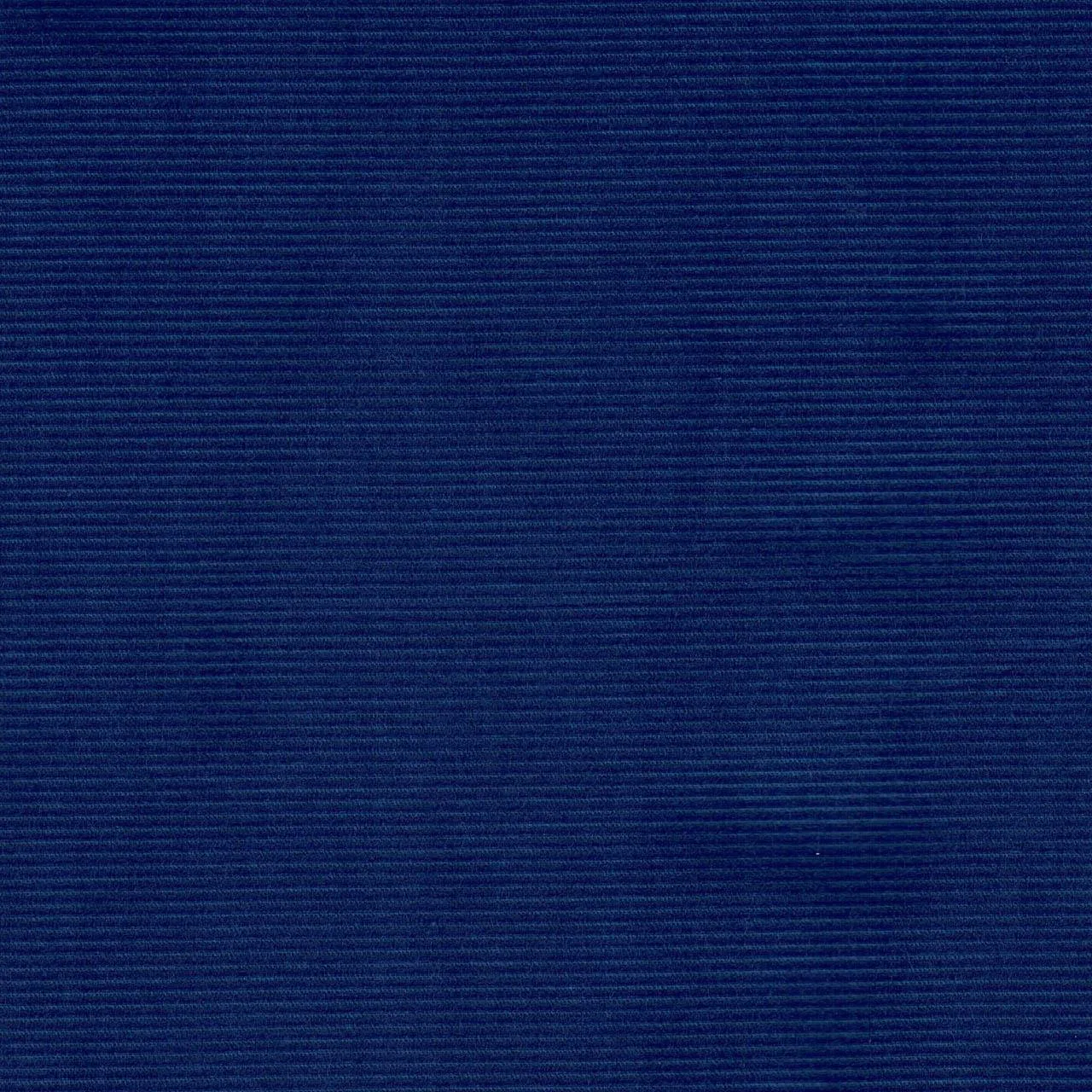 Dashwood Studio - Corduroy - 21 Whale - Marine