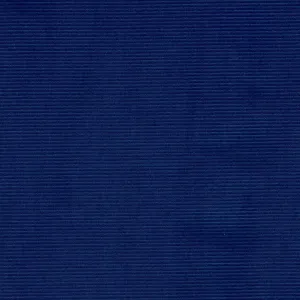 Dashwood Studio - Corduroy - 21 Whale - Marine