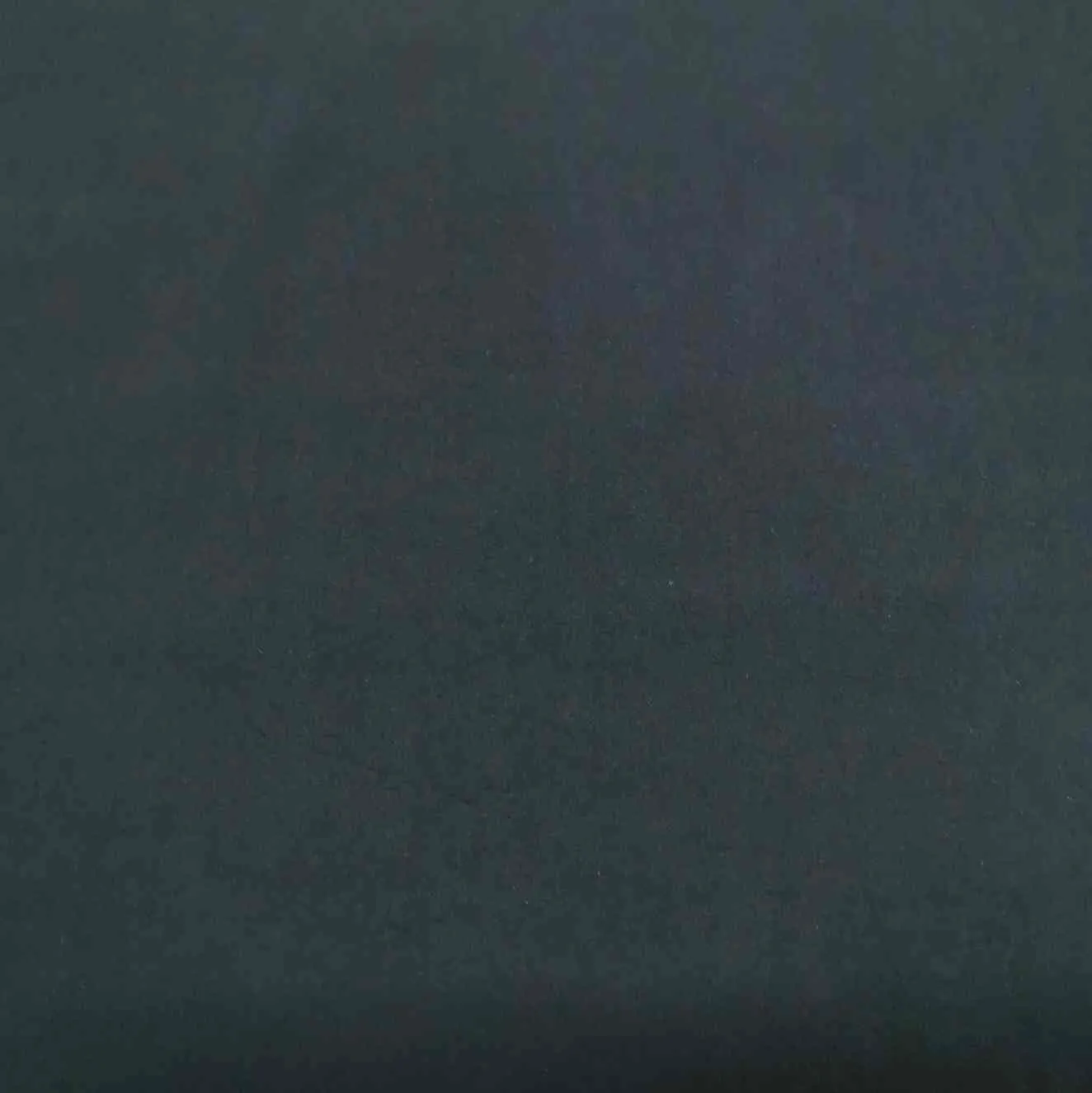 Fortney Cotton, Black