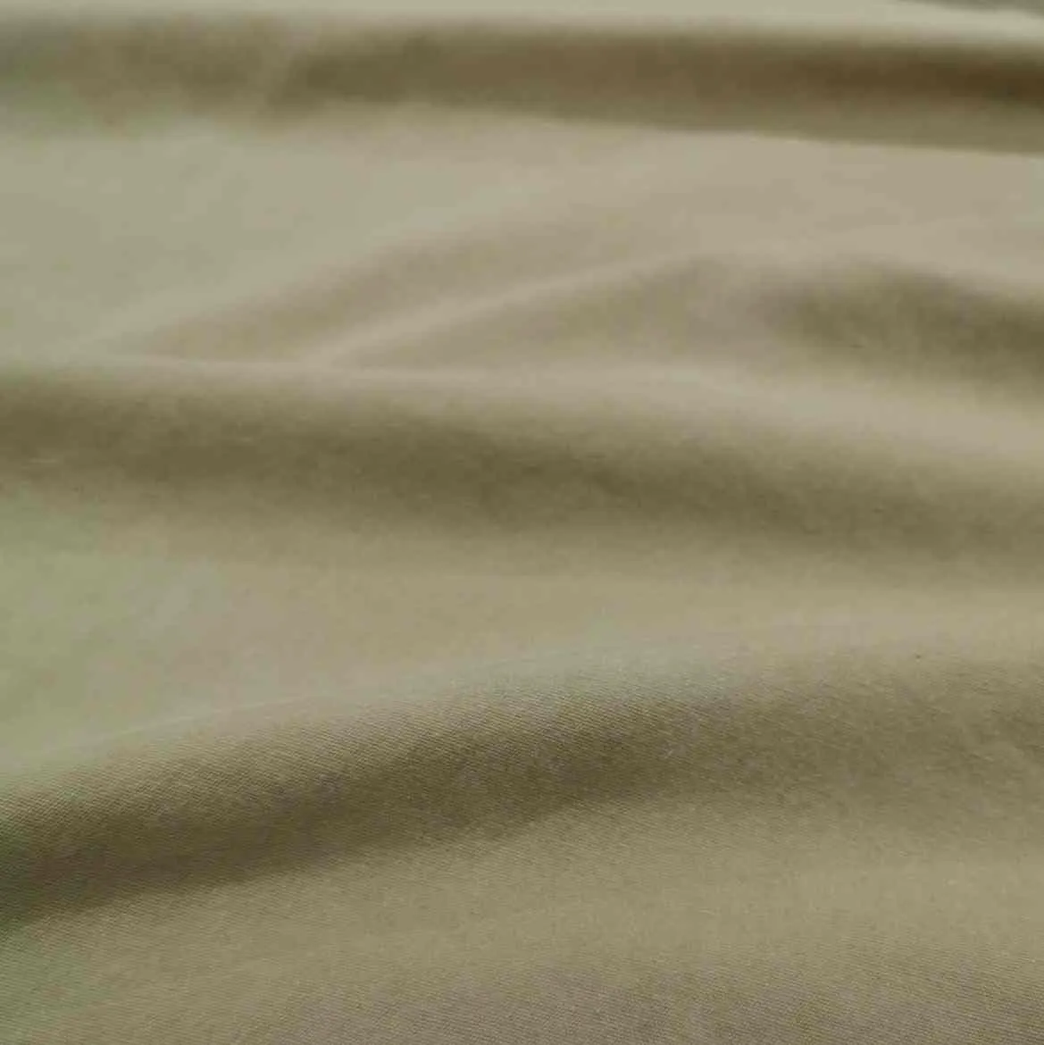 Fortney Cotton, Pistachio