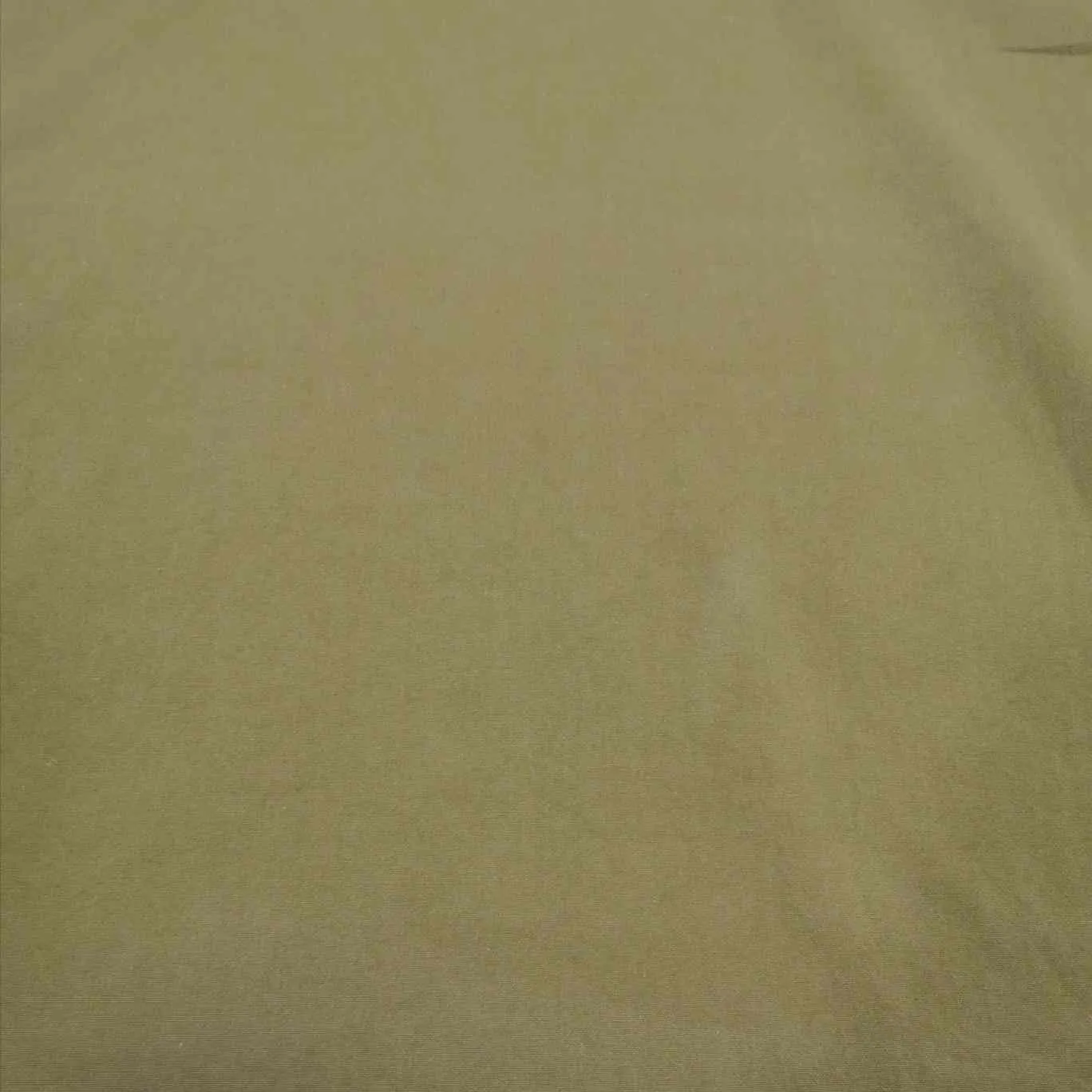 Fortney Cotton, Pistachio