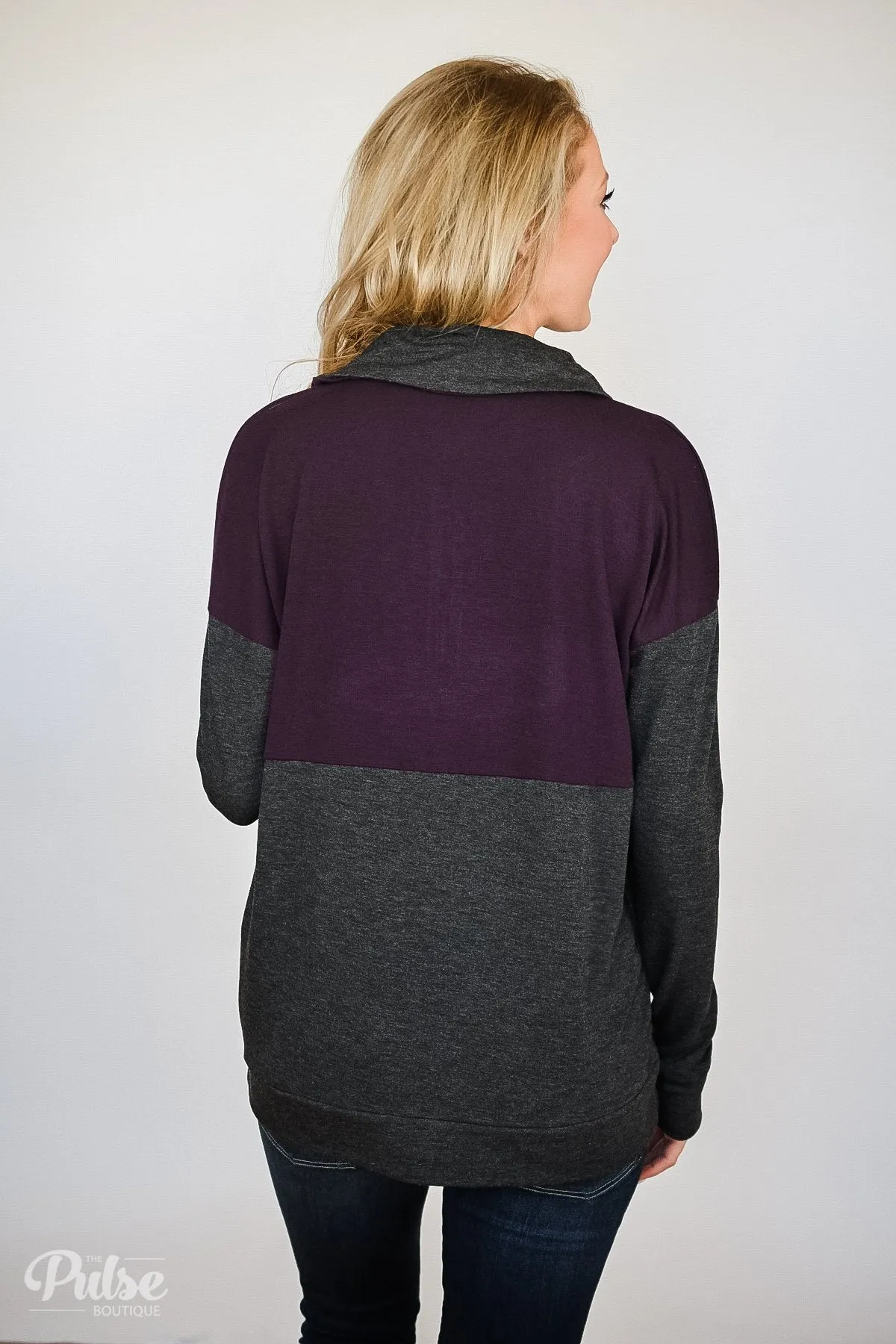 Golden Zipper Quarter Zip Pullover Top- Eggplant & Charcoal