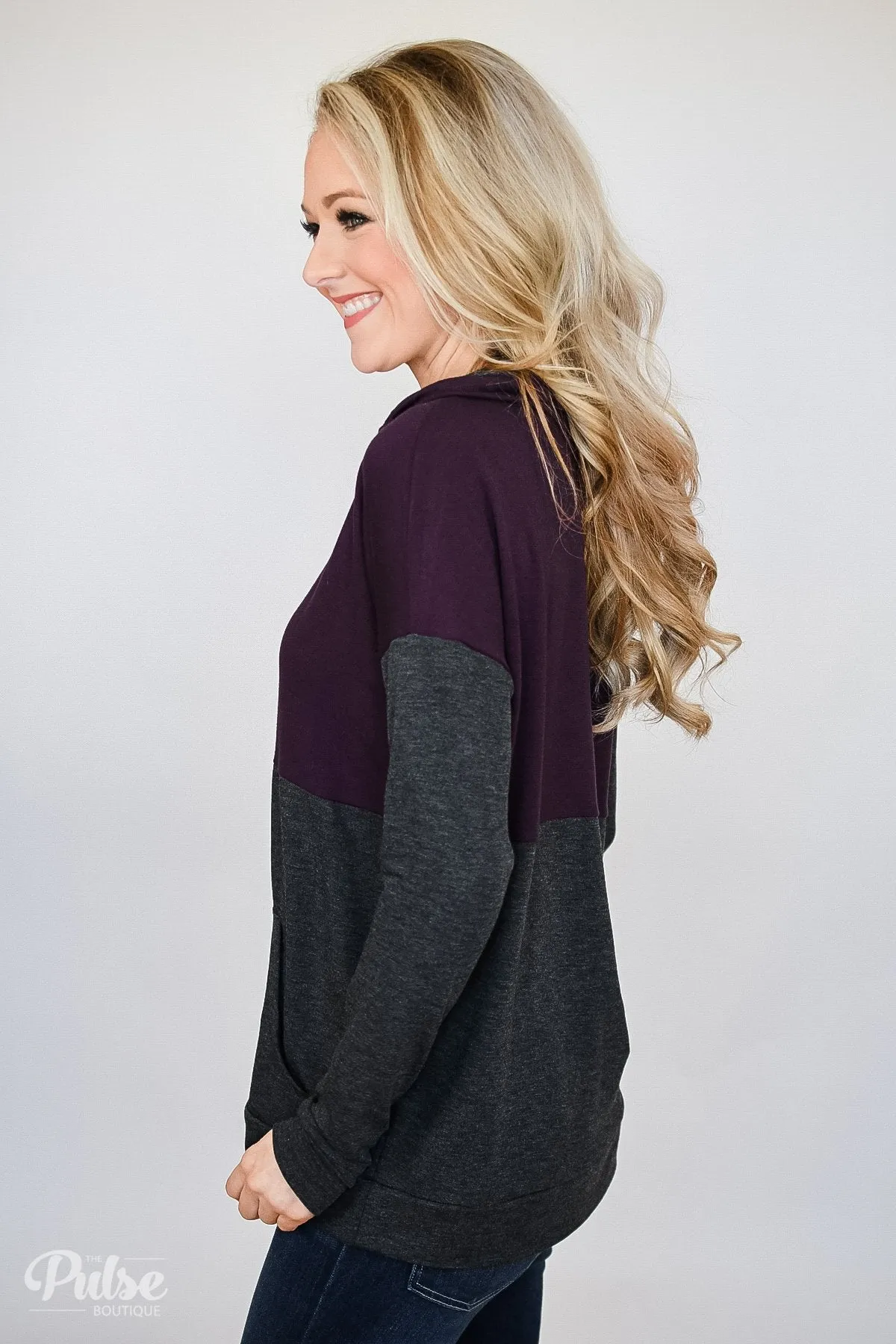 Golden Zipper Quarter Zip Pullover Top- Eggplant & Charcoal
