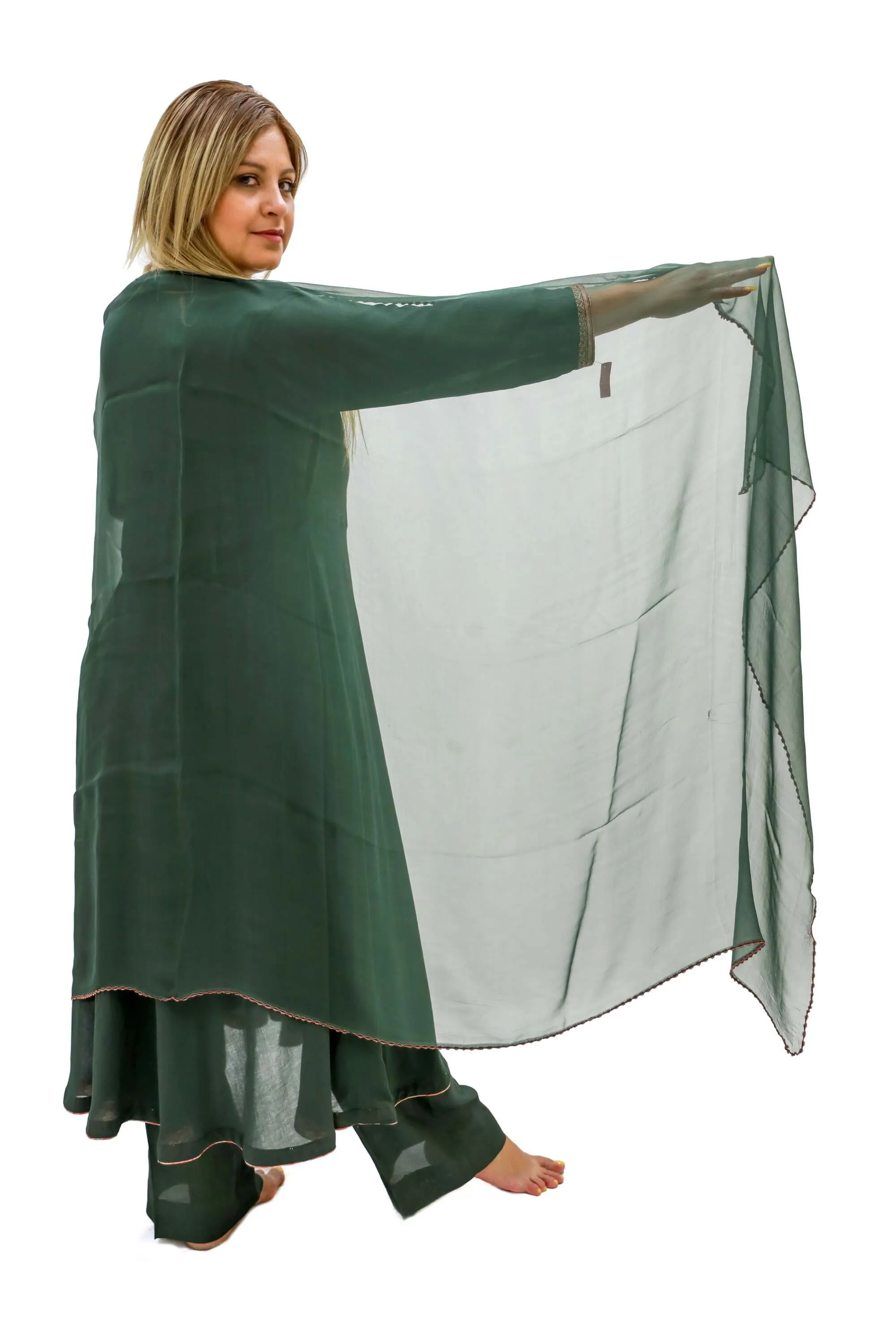 Green Chiffon Salwar Kameez - Kashmir Suit