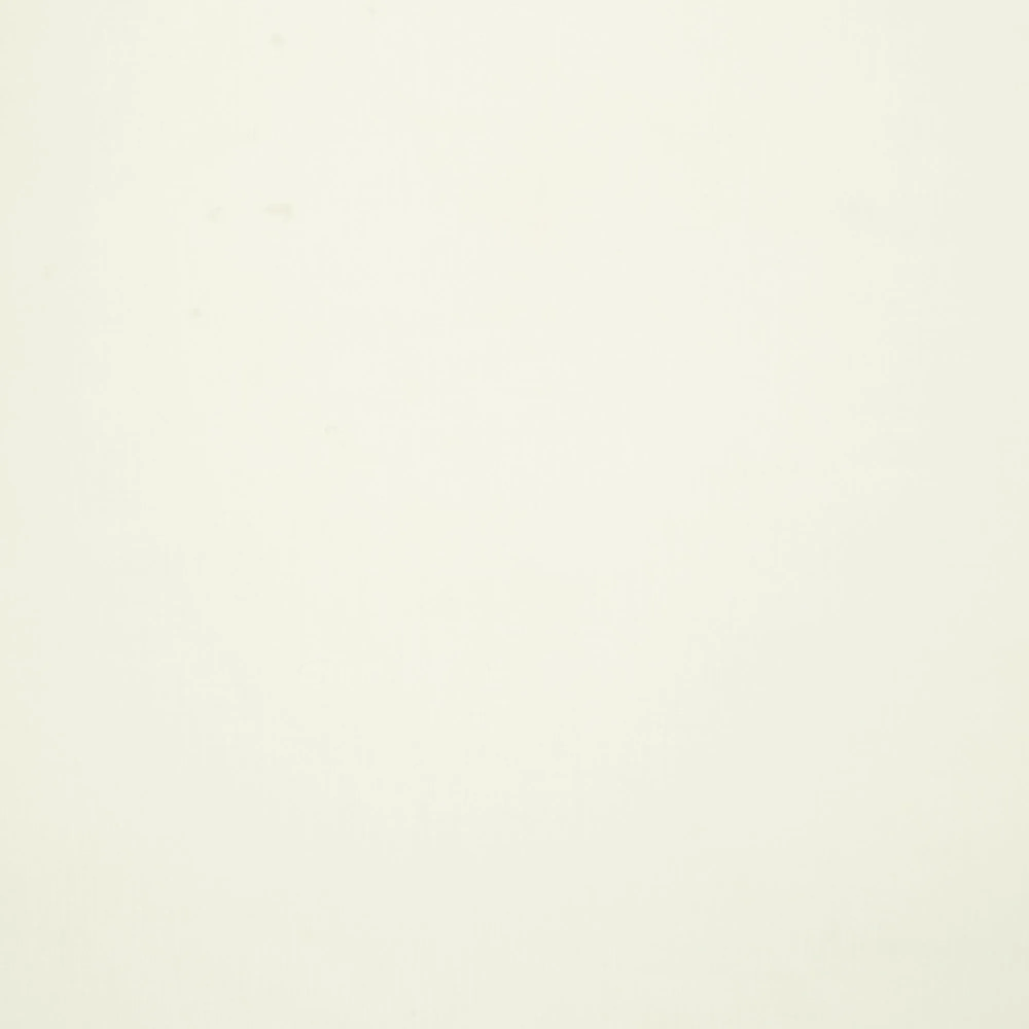 Plain Polycotton 115CM Off White / Cream #3