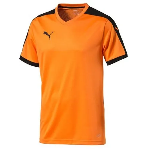 Puma Pitch Team Jersey