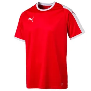 Puma Pitch Team Jersey