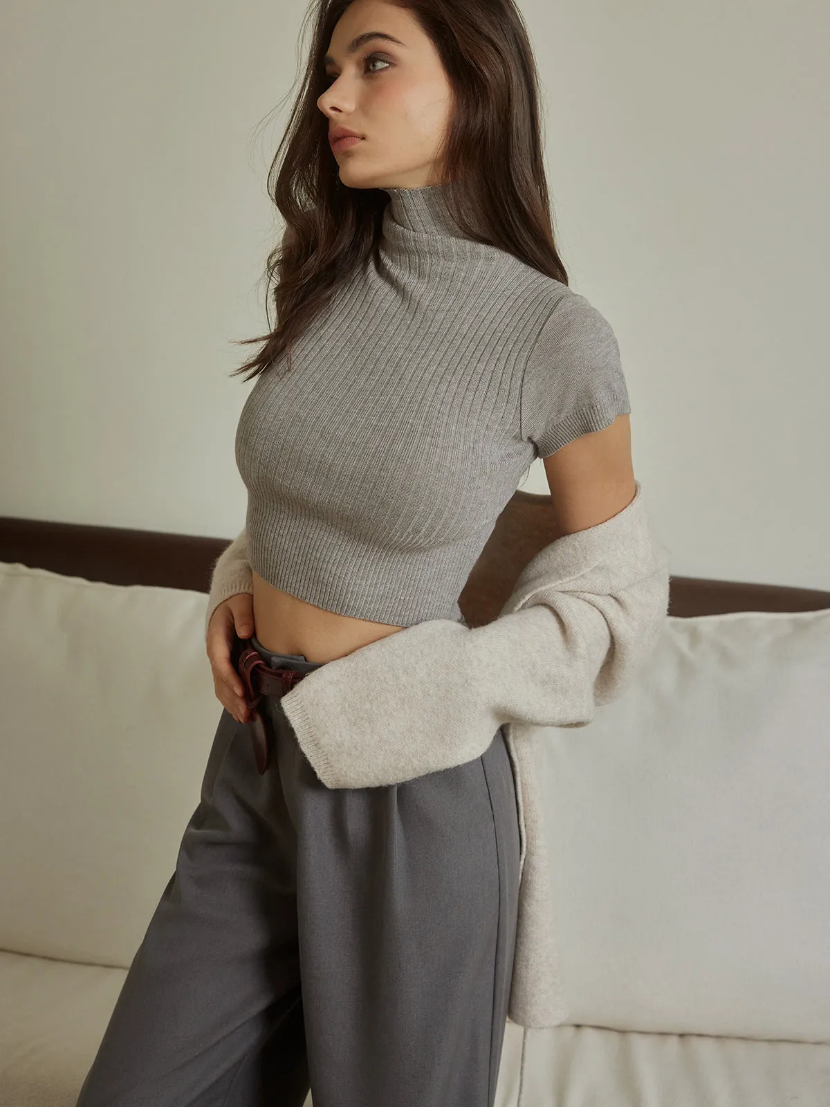Turtleneck Skinny Crop Knit Top