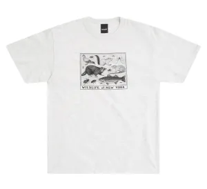 WILDLIFE OF NEW YORK TEE